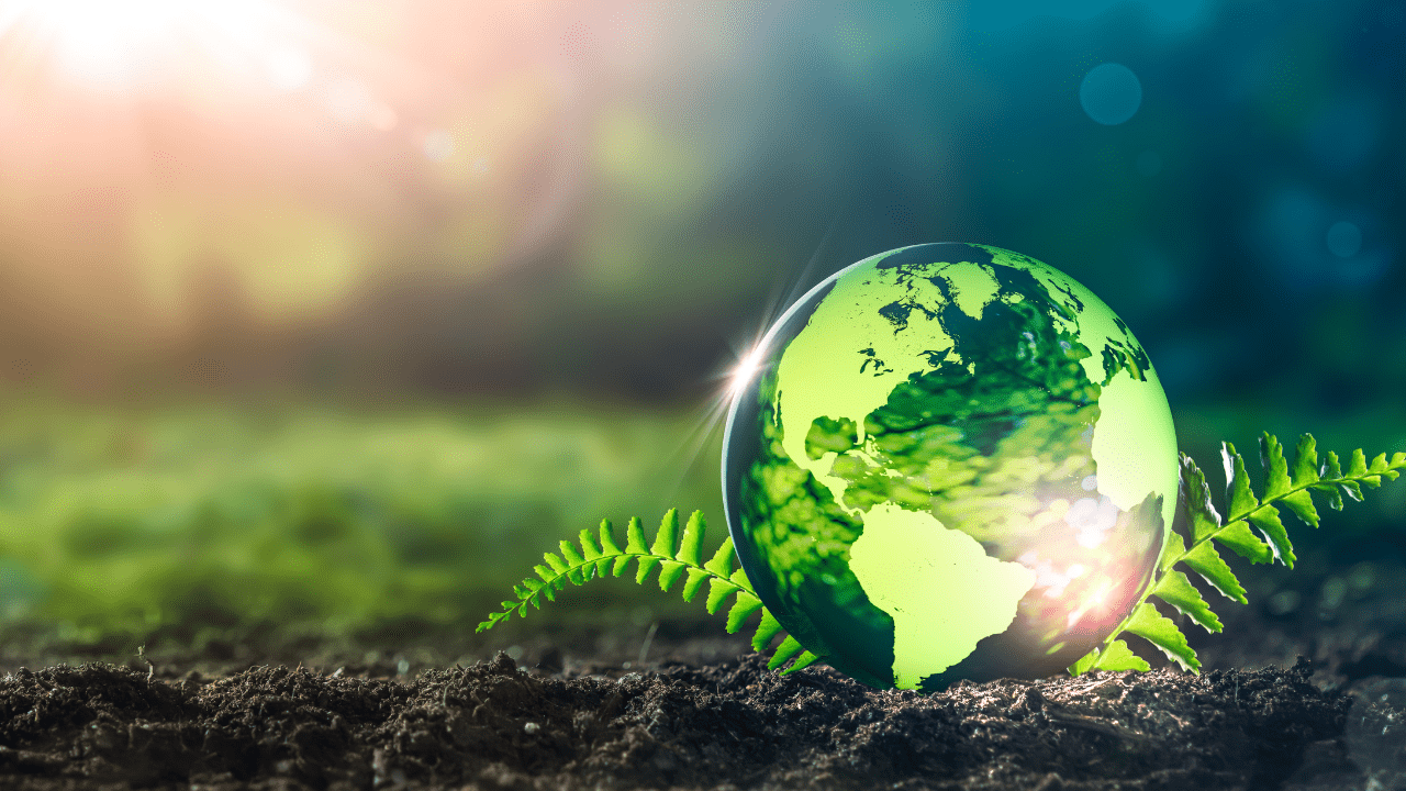 A glass globe sits on a fern leaf while light streams in from the top left corner.