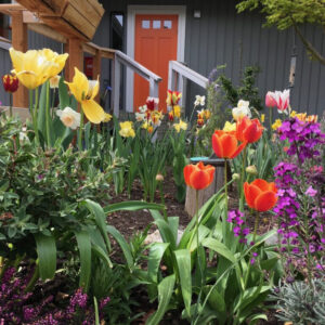 A rainbow of flowers bloom in a garden in front of a house.