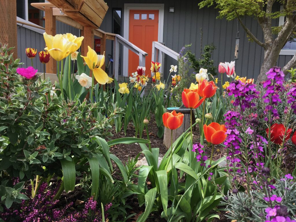A rainbow of flowers bloom in a garden in front of a house.