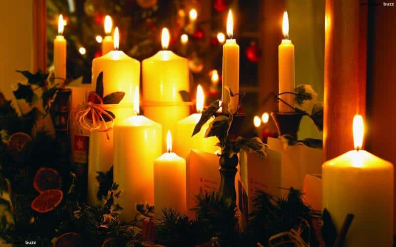 A variety of candles burn against a backdrop of winter greenery.