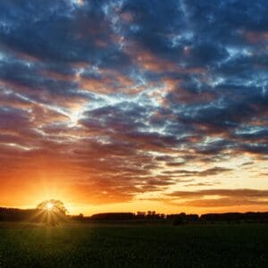 A sunrise crests a hill in the far-distance. It's glow turns the overcast sky gold, red, and yellow, and dark blue.